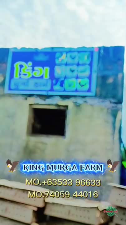 Video poster 4