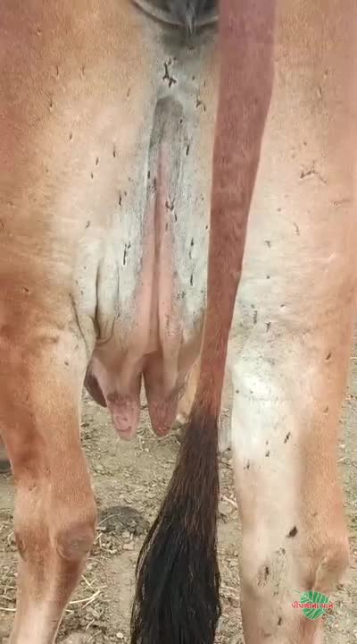 વિડિઓ પોસ્ટર 7