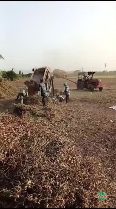 व्हिडिओ पोस्टर 3