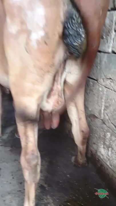 Video poster 2