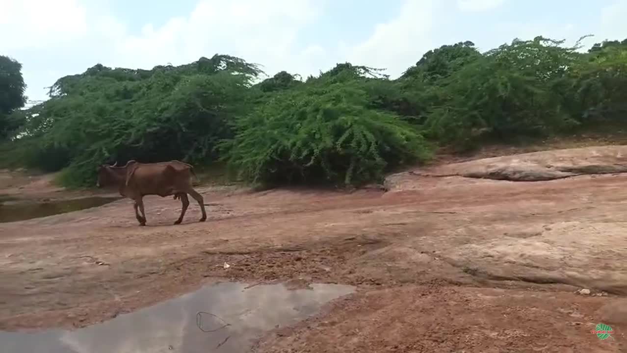 જમીન વેચવાની સે