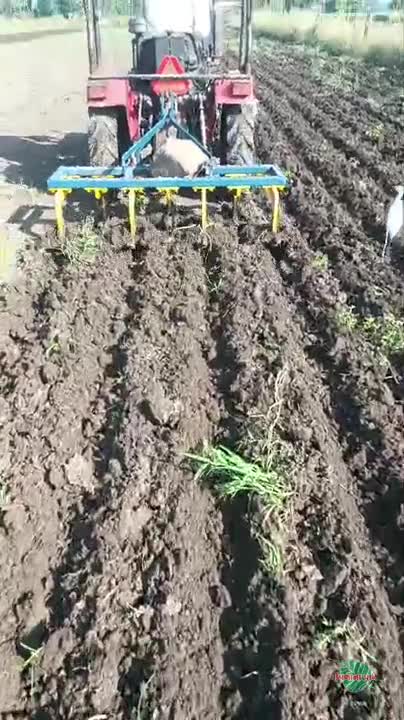 વિડિઓ પોસ્ટર 6