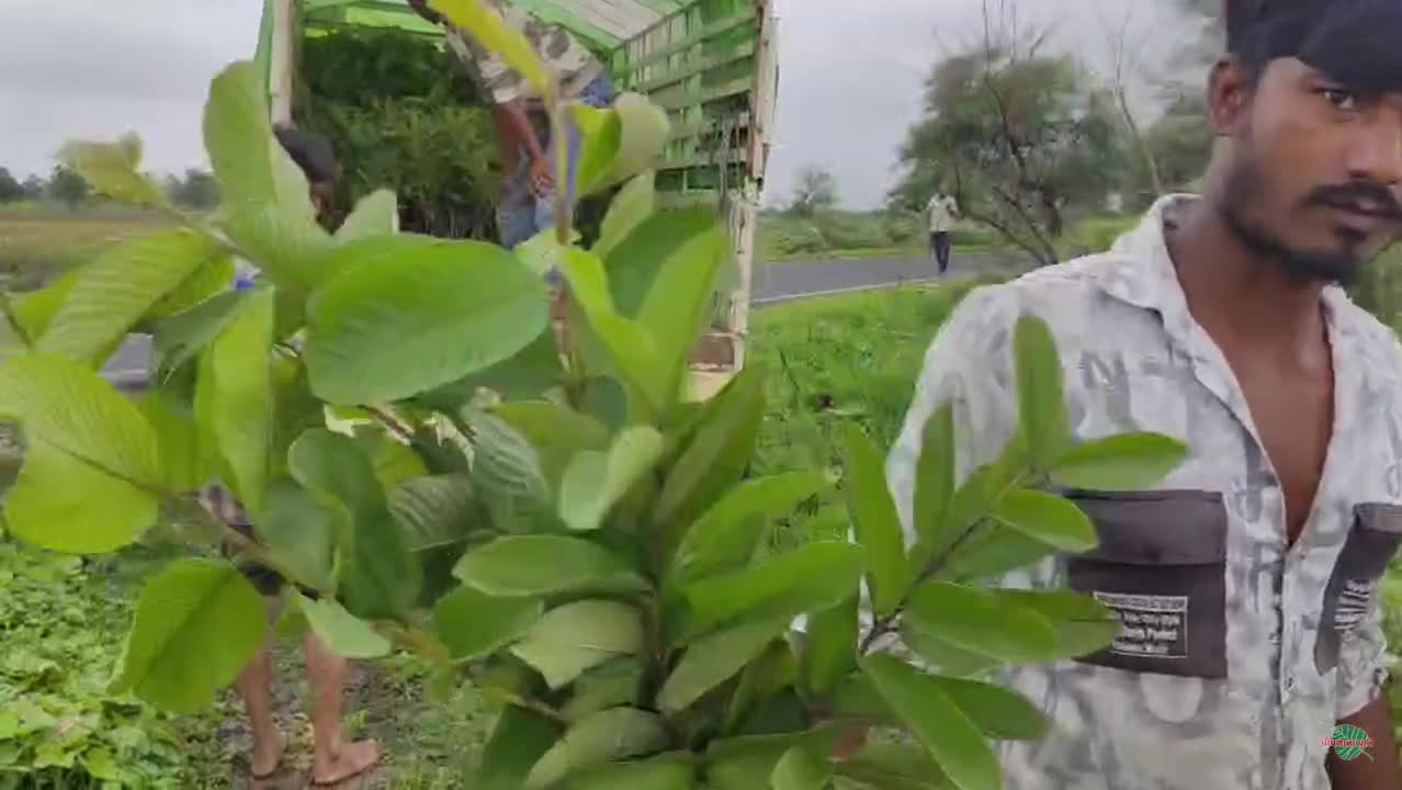 Video poster 5