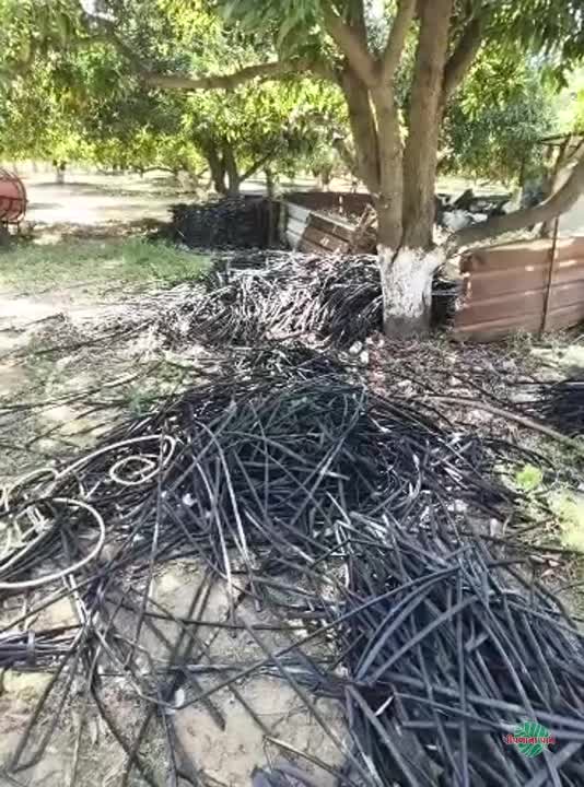 વિડિઓ પોસ્ટર 5