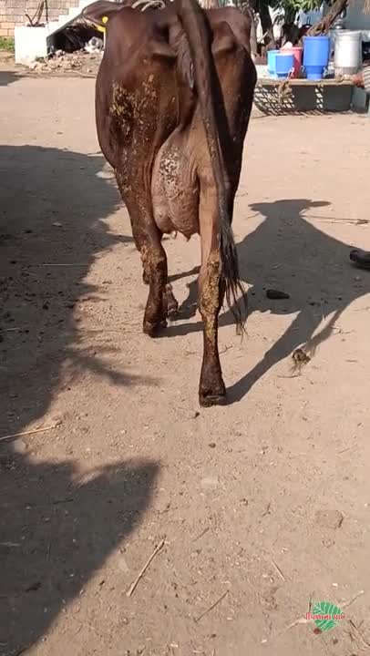 વિડિઓ પોસ્ટર 4