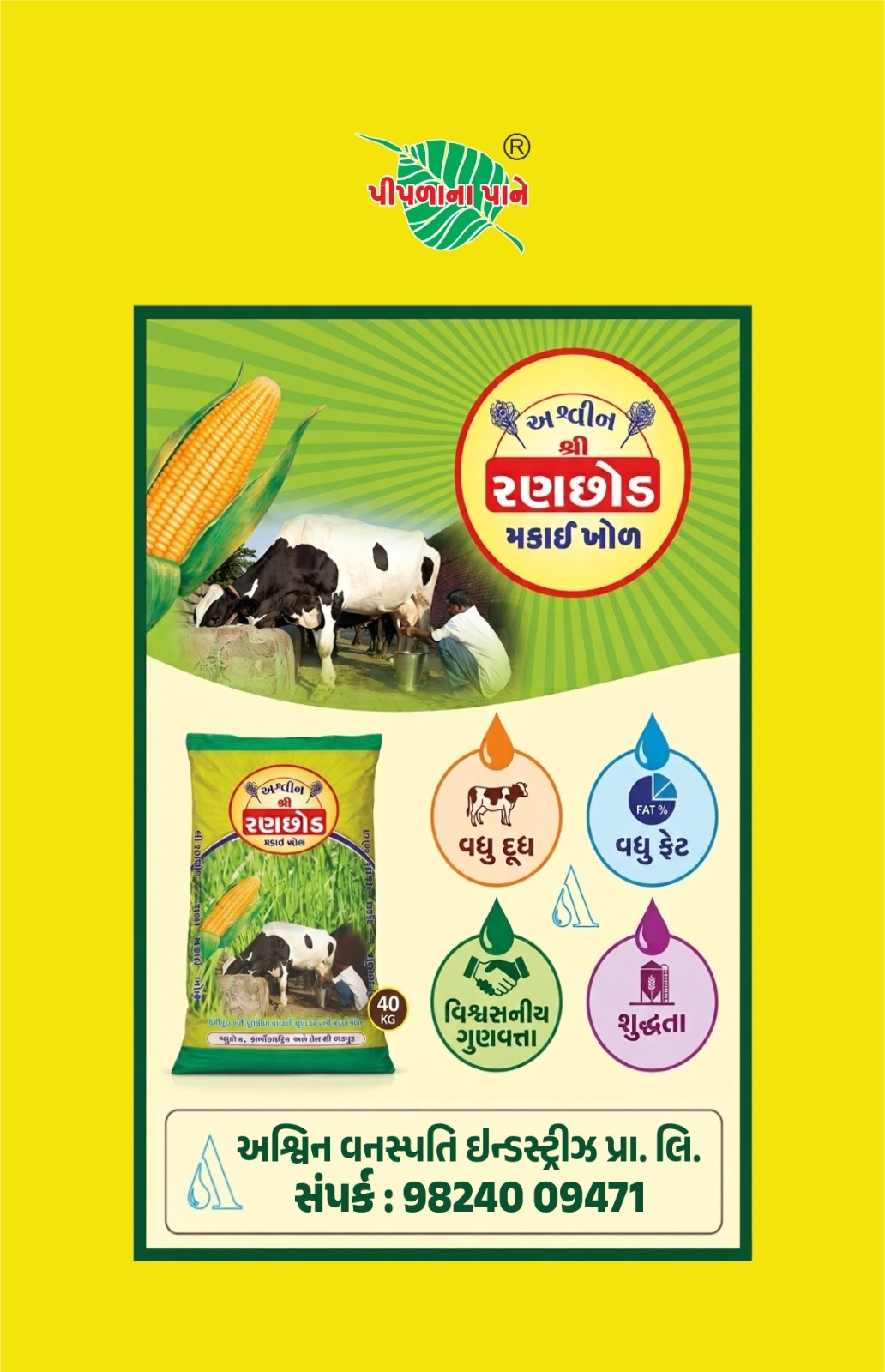 Splash Advertisement 6